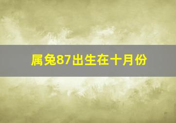 属兔87出生在十月份