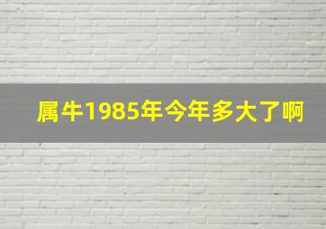 属牛1985年今年多大了啊