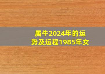 属牛2024年的运势及运程1985年女