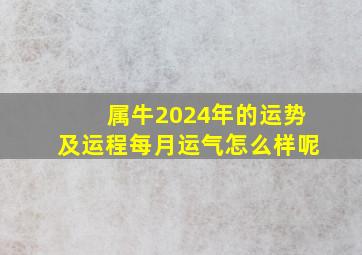 属牛2024年的运势及运程每月运气怎么样呢