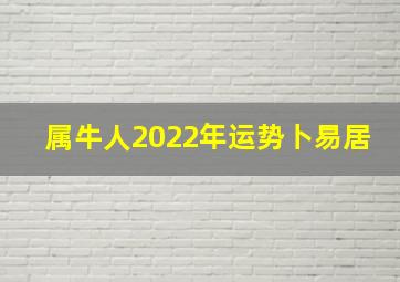 属牛人2022年运势卜易居