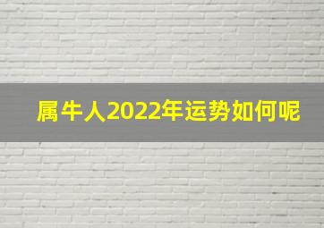 属牛人2022年运势如何呢