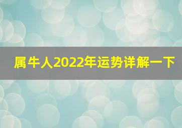 属牛人2022年运势详解一下