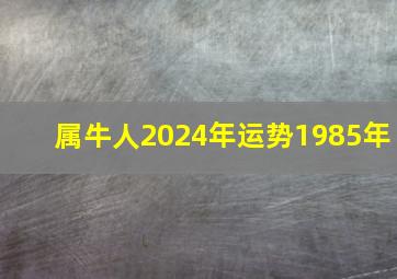 属牛人2024年运势1985年