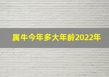 属牛今年多大年龄2022年