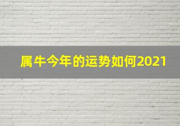 属牛今年的运势如何2021