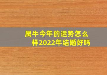 属牛今年的运势怎么样2022年结婚好吗