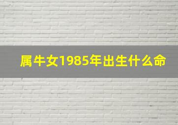 属牛女1985年出生什么命