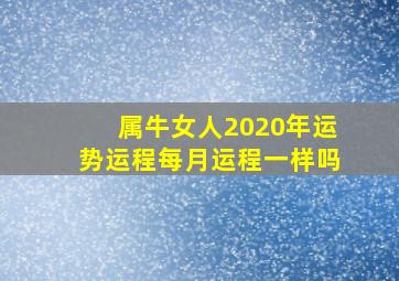 属牛女人2020年运势运程每月运程一样吗