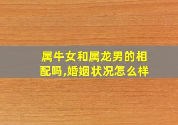 属牛女和属龙男的相配吗,婚姻状况怎么样