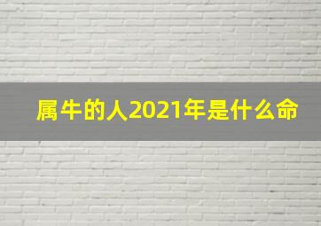 属牛的人2021年是什么命