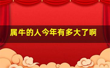 属牛的人今年有多大了啊