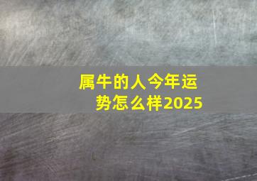 属牛的人今年运势怎么样2025