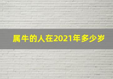 属牛的人在2021年多少岁