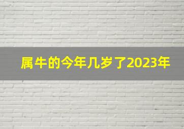 属牛的今年几岁了2023年