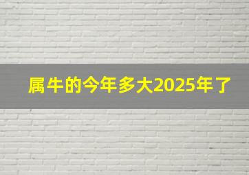 属牛的今年多大2025年了