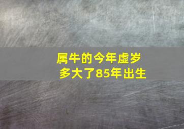 属牛的今年虚岁多大了85年出生