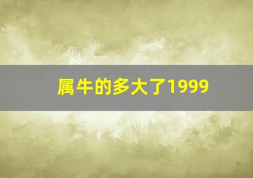 属牛的多大了1999