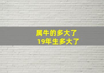 属牛的多大了19年生多大了