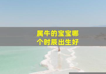 属牛的宝宝哪个时辰出生好