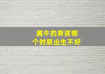 属牛的男孩哪个时辰出生不好