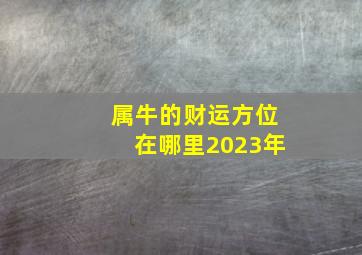 属牛的财运方位在哪里2023年