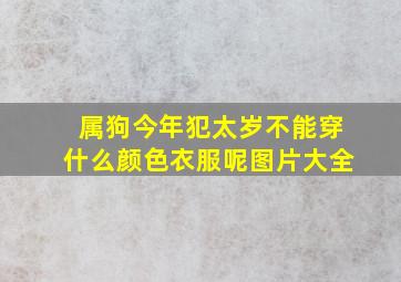 属狗今年犯太岁不能穿什么颜色衣服呢图片大全