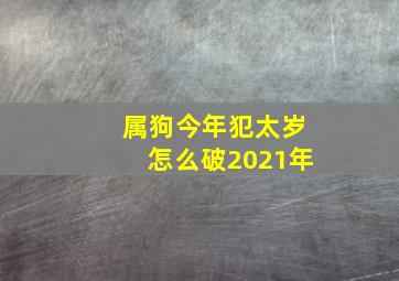 属狗今年犯太岁怎么破2021年