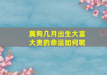 属狗几月出生大富大贵的命运如何呢