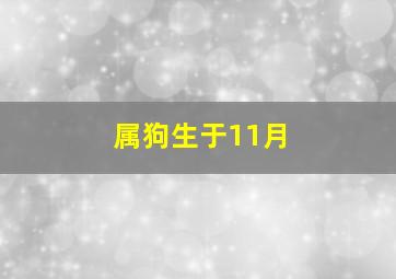 属狗生于11月