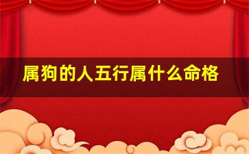 属狗的人五行属什么命格