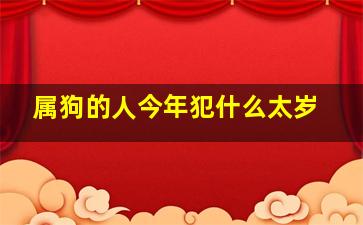 属狗的人今年犯什么太岁