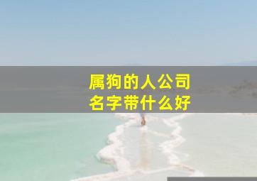 属狗的人公司名字带什么好