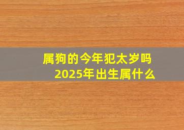 属狗的今年犯太岁吗2025年出生属什么