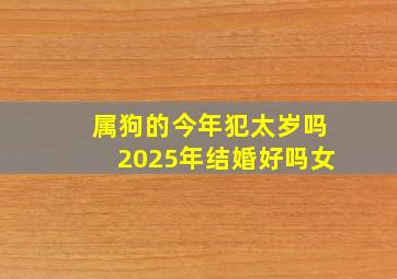 属狗的今年犯太岁吗2025年结婚好吗女