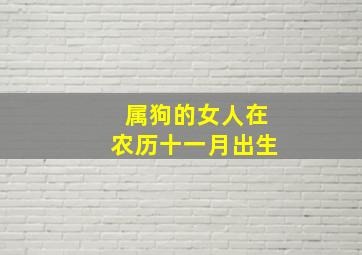 属狗的女人在农历十一月出生