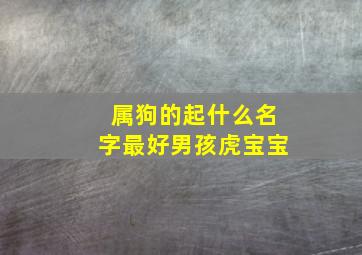 属狗的起什么名字最好男孩虎宝宝