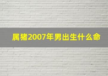 属猪2007年男出生什么命