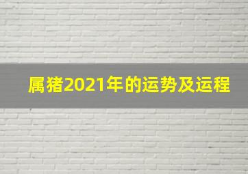 属猪2021年的运势及运程