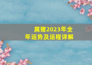 属猪2023年全年运势及运程详解