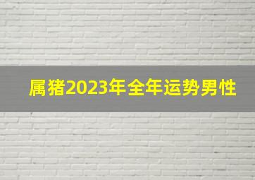 属猪2023年全年运势男性