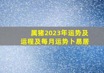 属猪2023年运势及运程及每月运势卜易居