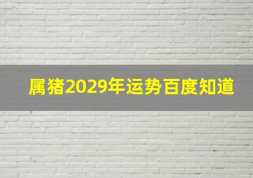 属猪2029年运势百度知道