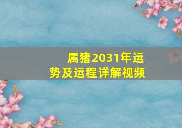 属猪2031年运势及运程详解视频