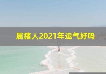 属猪人2021年运气好吗