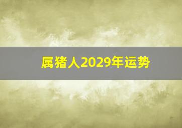 属猪人2029年运势