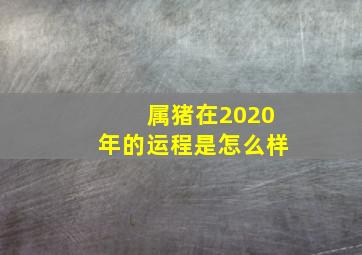 属猪在2020年的运程是怎么样