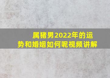 属猪男2022年的运势和婚姻如何呢视频讲解