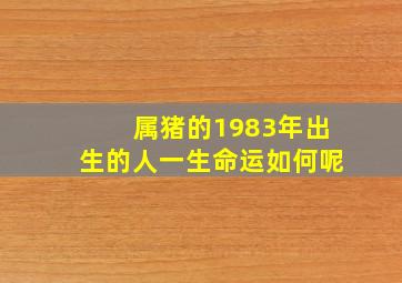 属猪的1983年出生的人一生命运如何呢