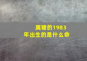 属猪的1983年出生的是什么命